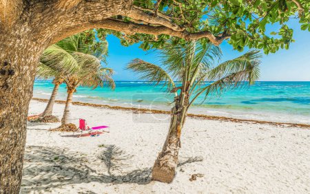 Foto de Pasas Playa Clairs en Guadalupe, Indias occidentales francesas. Antillas Menores, Mar Caribe - Imagen libre de derechos