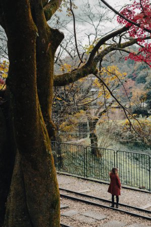 Foto de Kioto, Japón - 26 de noviembre de 2022: Keage Incline railroad with autumn maple - Imagen libre de derechos