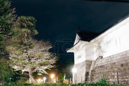 Foto de Sunpu Castle Park paisaje nocturno en Shizuoka, Japón - Imagen libre de derechos
