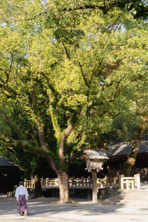Foto de Nagoya, Japón - 3 de diciembre de 2022: Santuario de Atsuta con árbol verde - Imagen libre de derechos