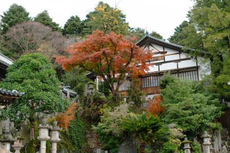 Téléchargez les photos : Nara parc temple traditionnel à l'automne à Nara, Japon - en image libre de droit