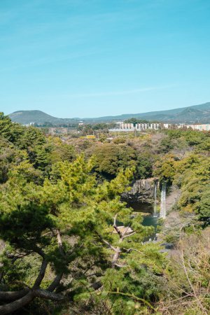 Foto de Cascada de Cheonjiyeon y vista al parque forestal verde en la isla de Jeju, Corea - Imagen libre de derechos