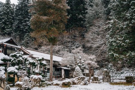 Téléchargez les photos : Shiroyama Park Shoren-ji Temple avec neige d'hiver à Takayama, Gifu, Japon - en image libre de droit