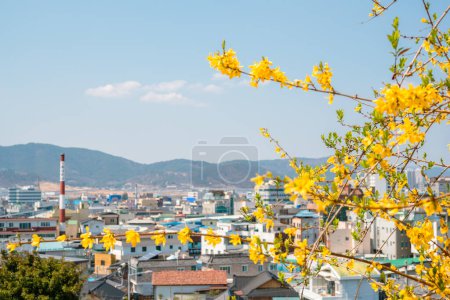 Vue de la ville de Miryang avec fleur de printemps à Miryang, Corée