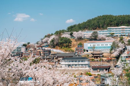 Vue du village de fleurs de cerisier à Miryang, Corée