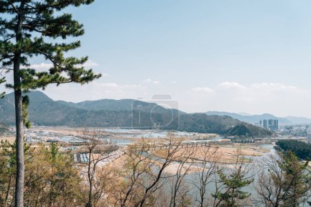 Vue du parc de la rivière Miryang au printemps à Miryang, Corée