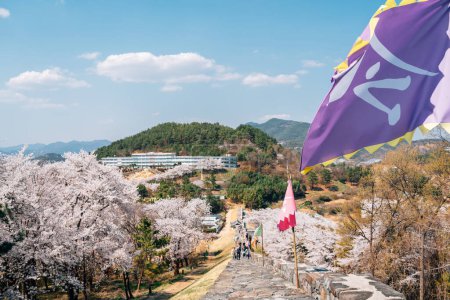 Photo for Miryang Eupseong Fortress with cherry blossoms in Miryang, Korea - Royalty Free Image