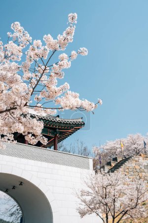 Porte de la forteresse de Miryang Eupseong avec des fleurs de cerisier à Miryang, Corée