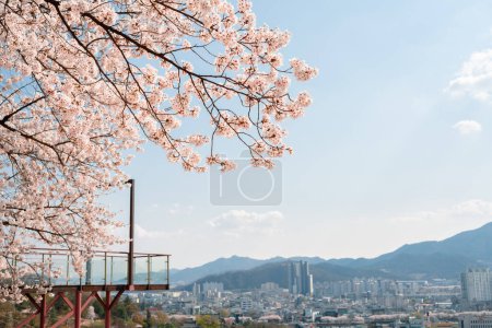 Vue de la ville de Miryang depuis l'observatoire du parc Moonlight Ssamji au printemps à Miryang, Corée