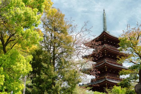 Foto de Ueno Park Pagoda de cinco pisos del templo kanei-ji en Tokio, Japón - Imagen libre de derechos