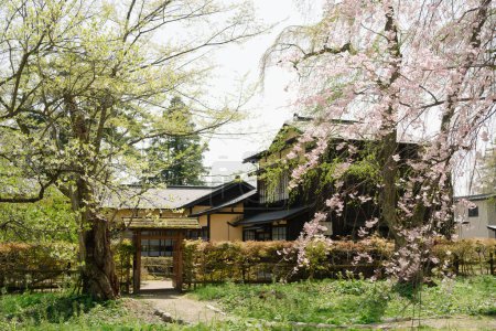 Frühling der Samurai-Residenz Kakunodate in Akita, Japan
