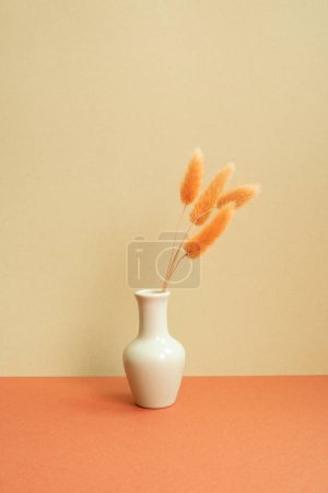 Vase of orange Lagurus ovatus dry flower on red table. khaki beige background