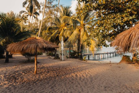 Foto de Isla de viajes, playas de palmeras y zonas de relajación en la isla - Imagen libre de derechos
