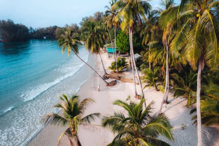 Strand und Kokospalmen auf einer ruhigen Insel am Morgen, Luftaufnahme
