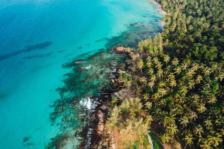 Strand und Kokospalmen auf einer ruhigen Insel am Morgen, Luftaufnahme