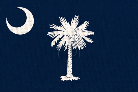 Foto de Bandera de Carolina del Sur. Bandera del estado norteamericano de Carolina del Sur. Símbolo de Carolina del Sur. Estado americano - Imagen libre de derechos