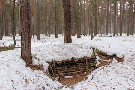 Photo for Partisan dugout in winter forest. Earth-house built by Soviet partisans in Ukrainian forest during Secont World War. War museum in forest. Dwelling of Soviet partisans in winter wood - Royalty Free Image