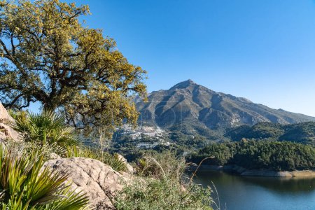 a large tress overlooking a reservoir and pueblo blanco along the Costa Del Sol.