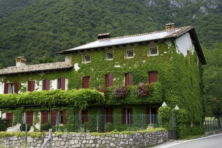 Téléchargez les photos : Col de San Boldo, route de montagne en Vénétie, Italie, entre les provinces de Trévise et Belluno - en image libre de droit