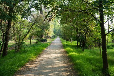 Foto de Path in the park of Lambro valley, Monza Brianza province, Lombardy, Italy, in October - Imagen libre de derechos