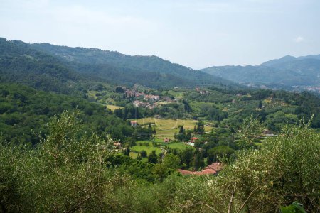 Foto de Paisaje rural cerca de Camaiore, provincia de Lucca, Toscana, Italia, en verano - Imagen libre de derechos