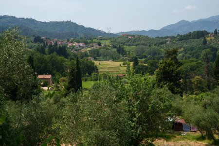 Foto de Paisaje rural cerca de Camaiore, provincia de Lucca, Toscana, Italia, en verano - Imagen libre de derechos