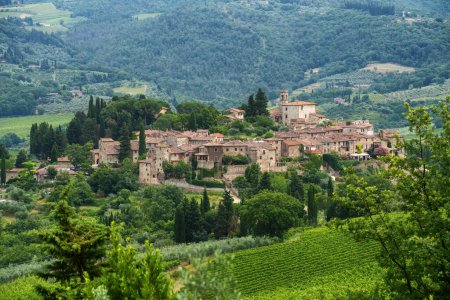 Foto de Viñedos de Chianti cerca de Montefioralle, provincia de Firenze, Toscana, Italia, en verano - Imagen libre de derechos