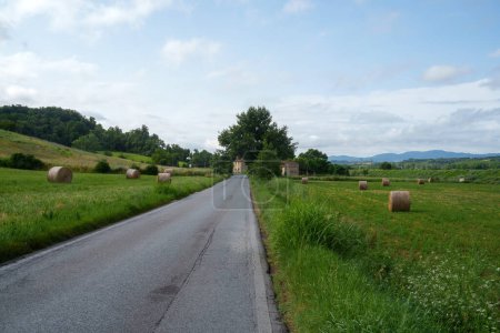Téléchargez les photos : Paysage rural près de Figline Valdarno, province de Firenze, Toscane, Italie, en été - en image libre de droit
