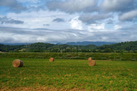 Téléchargez les photos : Paysage rural près de Figline Valdarno, province de Firenze, Toscane, Italie, en été - en image libre de droit