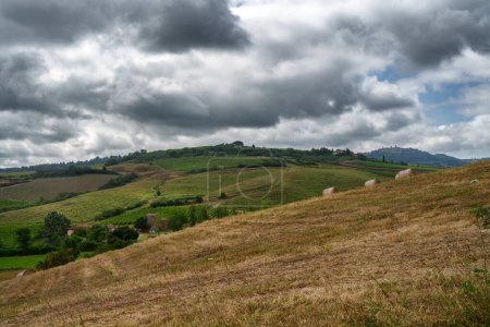 Téléchargez les photos : Paysage rural en Toscane, Italie, près de Torrita di Siena en été - en image libre de droit