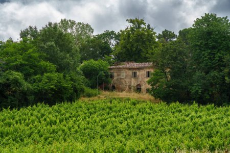 Téléchargez les photos : Paysage rural en Toscane près de Pienza, province de Sienne, Toscane, Italie - en image libre de droit