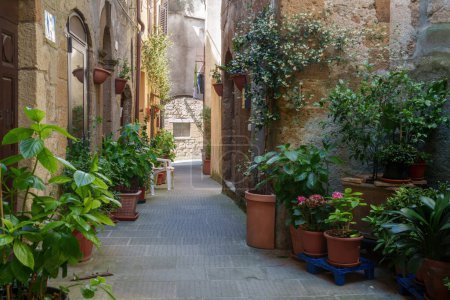 Téléchargez les photos : Pitigliano, ville historique de Grosseto province, Toscane, Italie - en image libre de droit