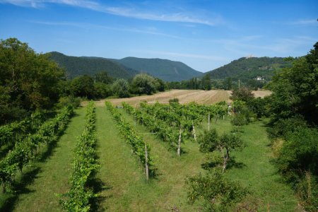 Foto de Paisaje rural en Lazio cerca de Labro, provincia de Rieti, Italia, en verano - Imagen libre de derechos