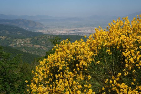 Téléchargez les photos : Paysage montagneux au parc national des Abruzzes en été - en image libre de droit