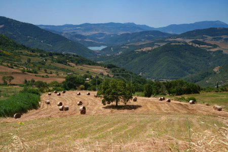 Photo for Country landscape near Albano di Lucania, Basilicata, Italy, at summer - Royalty Free Image
