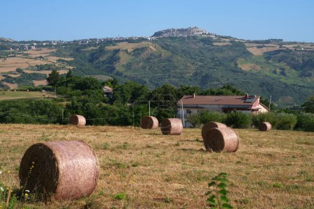 Foto de Paisaje rural cerca de Oppido Lucano y Acerenza, en la provincia de Potenza, Basilicata, Italia - Imagen libre de derechos