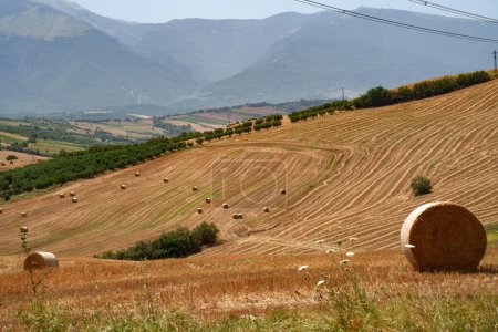 Paysage rural en été près de Lanciano, dans la province de Chieti, Abruzzes, Italie