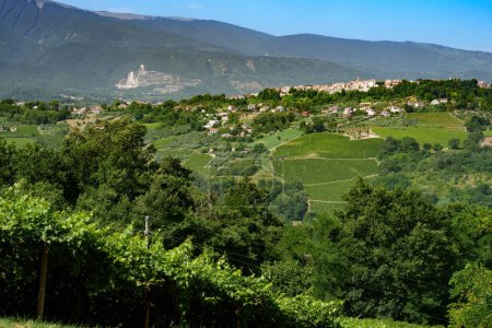 Paysage rural près d'Orsogna et Bucchianico, province de Chieti, Abruzzes, Italie, en été