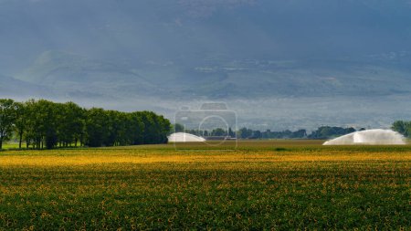 Rural landscape near Foligno and Montefalco, Perugia province, Umbria, Italy, at summer