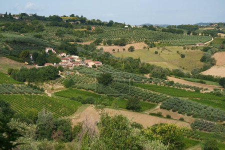 Landschaft in der Nähe von Foligno und Montefalco, Provinz Perugia, Umbrien, Italien, im Sommer