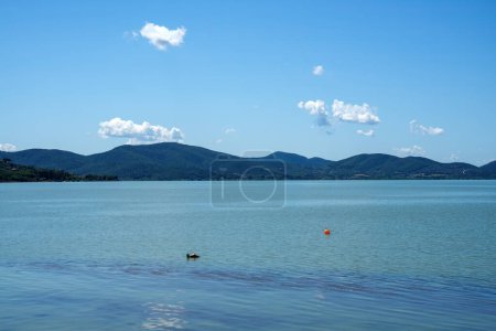 Téléchargez les photos : Lac Trasimène en été près de Torricella et Monte del Lago, dans la province de Pérouse, Ombrie, Italie - en image libre de droit