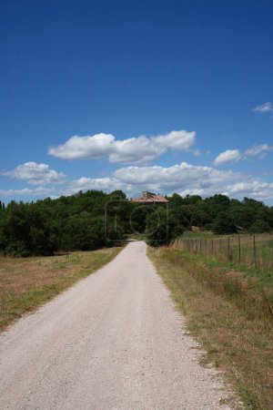 Landschaft in der Nähe von Passignano sul Trasimeno, Provinz Perugia, Umbrien, Italien, im Sommer