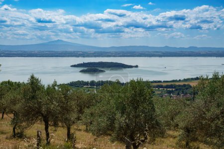 The Trasimeno lake at summer near Passignano, in Perugia province, Umbria, Italy