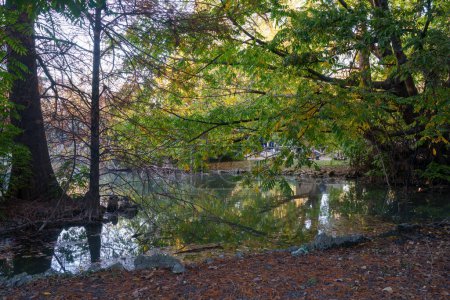 Téléchargez les photos : Parco Sempione, parc public de Milan, Lombardie, Italie, en novembre - en image libre de droit