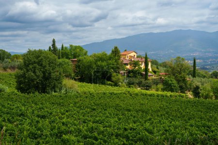 Téléchargez les photos : Paysage rural en été près de Figline Valdarno, province de Florence, Toscane, Italie - en image libre de droit