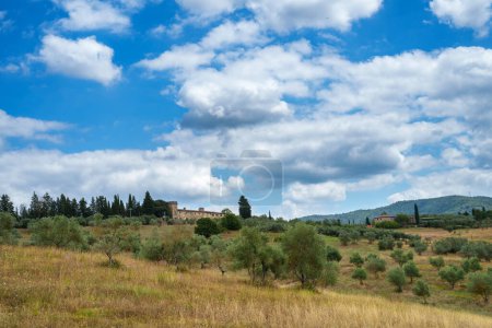 Paisaje rural de Chianti, Florencia provincia Toscana, Italia, en verano