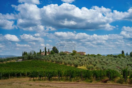 Téléchargez les photos : Paysage rural du Chianti, province de Florence, Toscane, Italie, en été - en image libre de droit
