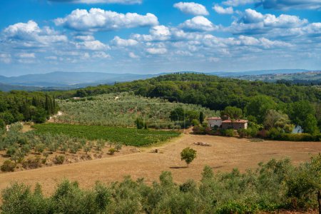 Téléchargez les photos : Paysage rural du Chianti, Florence province Toscane, Italie, en été - en image libre de droit