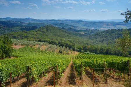 Téléchargez les photos : Paysage rural du Chianti, Florence province Toscane, Italie, en été - en image libre de droit