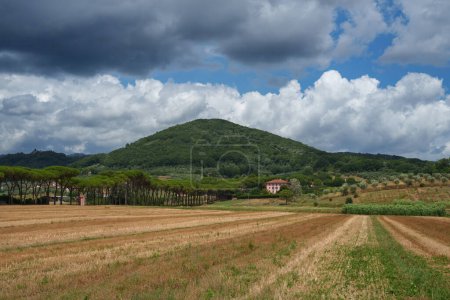 Paisaje rural cerca de Montecatini Terme, Toscana, Italia, en verano
